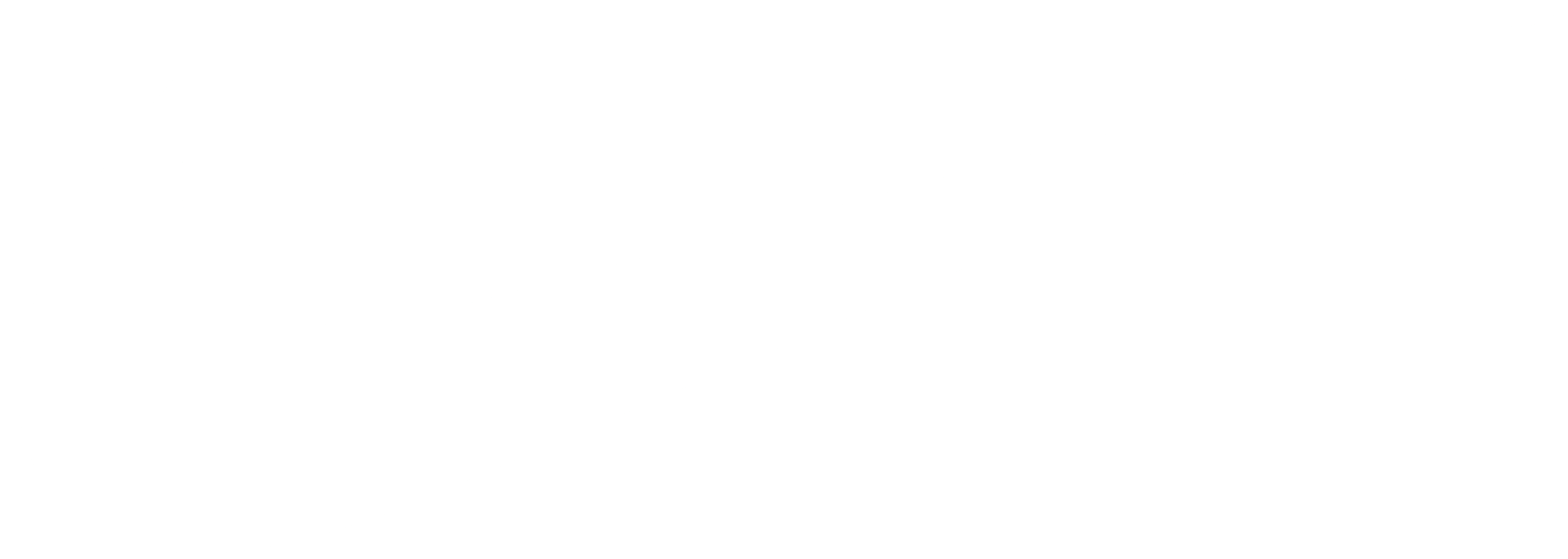swoosh1